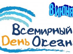 img (3)